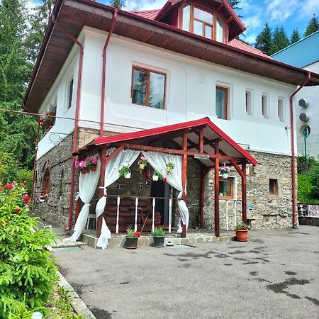 Appartement Casa Olguta à Sinaia Extérieur photo