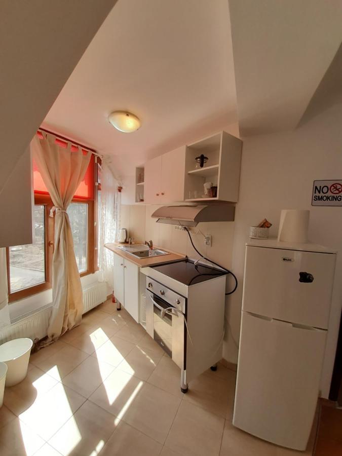 Appartement Casa Olguta à Sinaia Extérieur photo