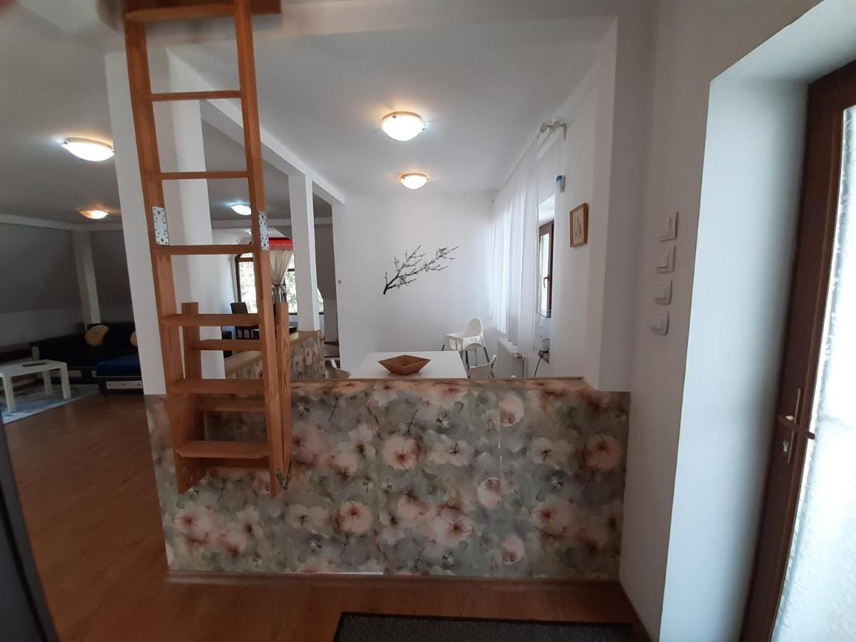 Appartement Casa Olguta à Sinaia Extérieur photo