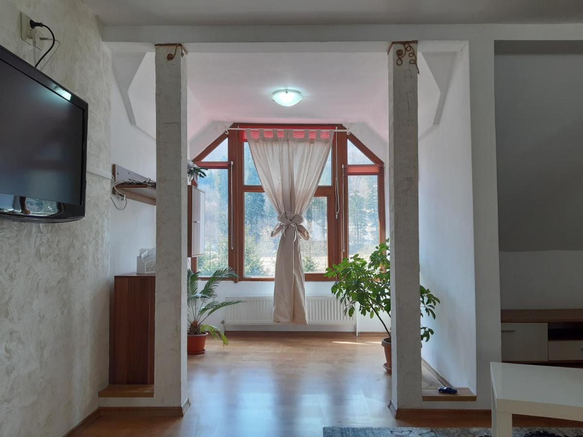 Appartement Casa Olguta à Sinaia Extérieur photo