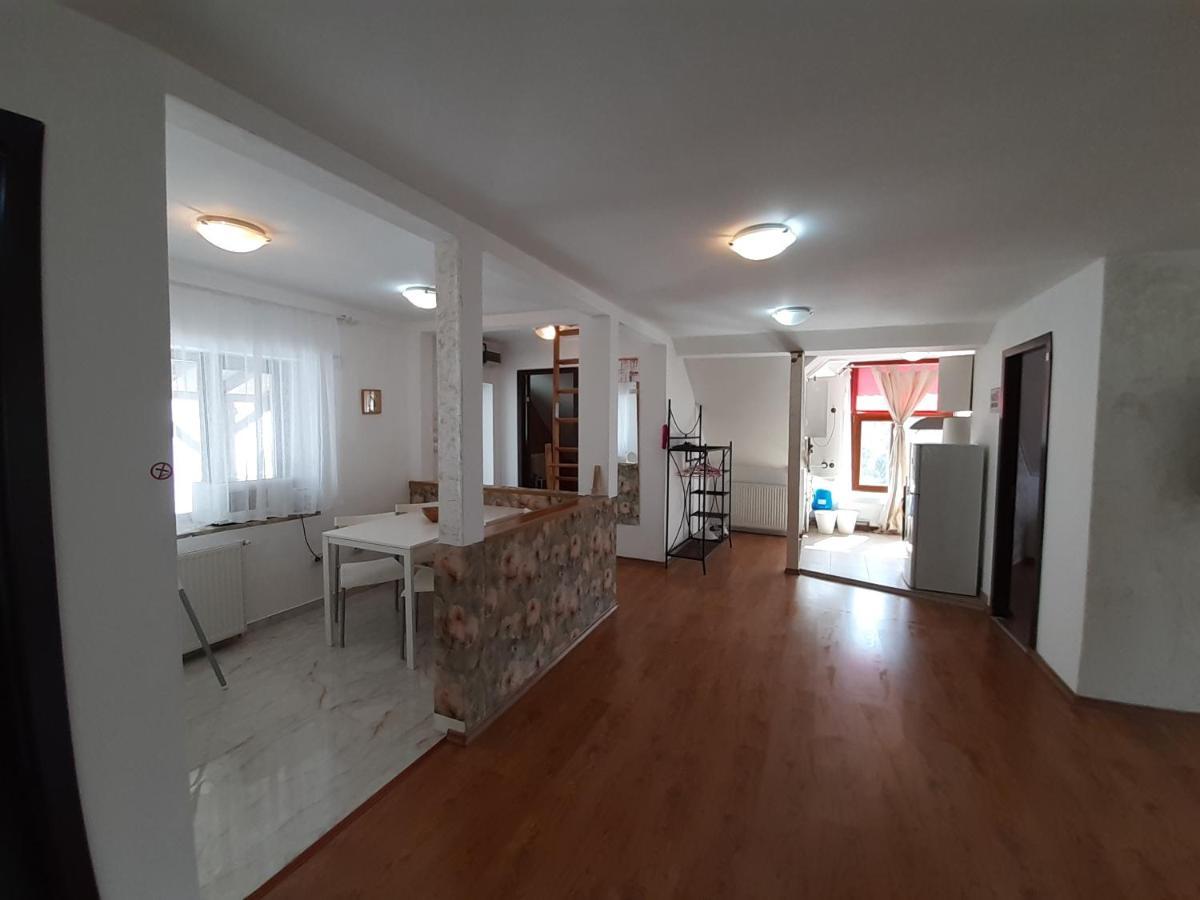 Appartement Casa Olguta à Sinaia Extérieur photo