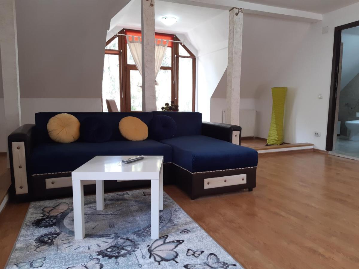 Appartement Casa Olguta à Sinaia Extérieur photo