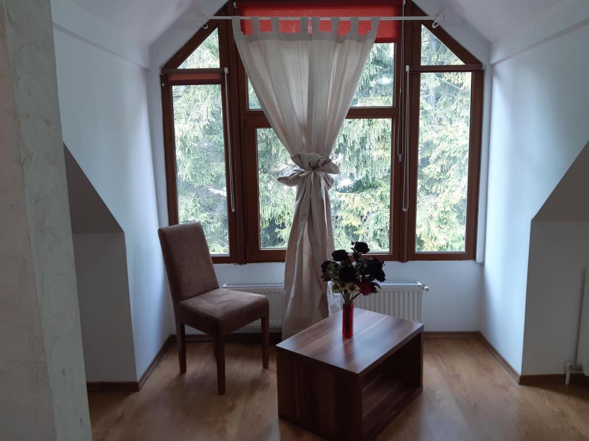 Appartement Casa Olguta à Sinaia Extérieur photo