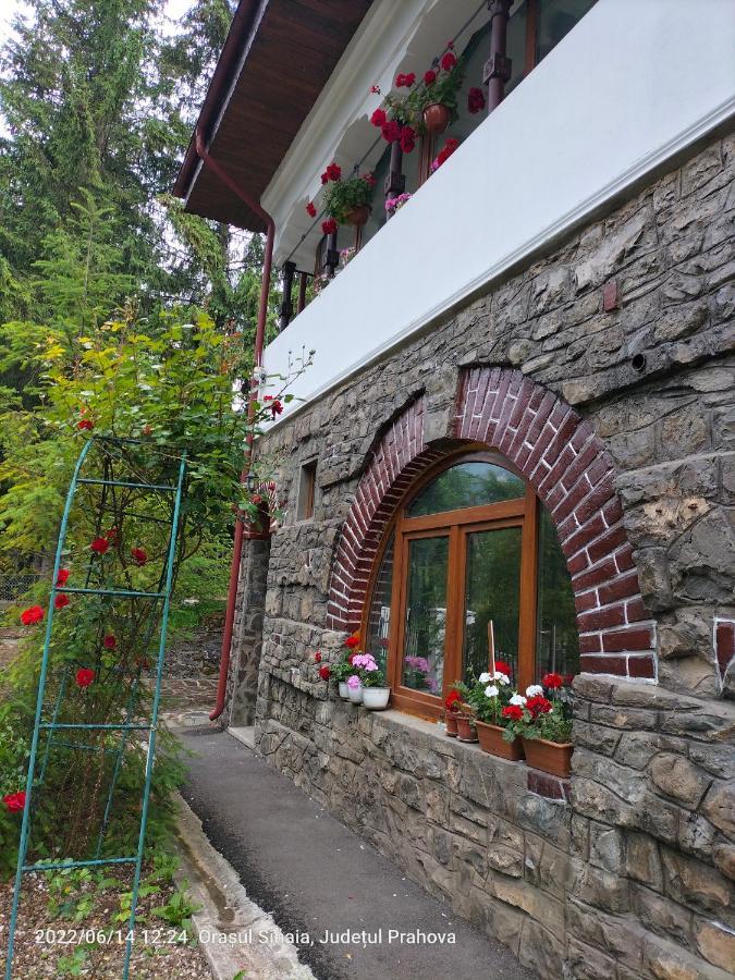 Appartement Casa Olguta à Sinaia Extérieur photo