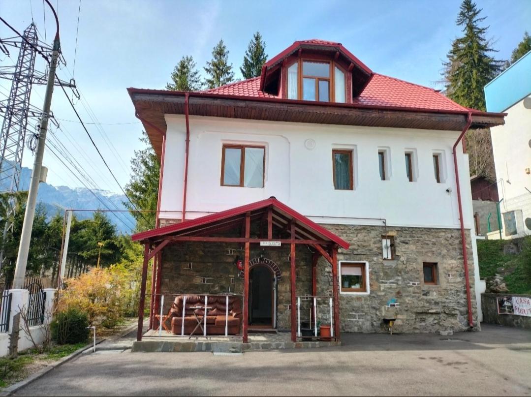 Appartement Casa Olguta à Sinaia Extérieur photo