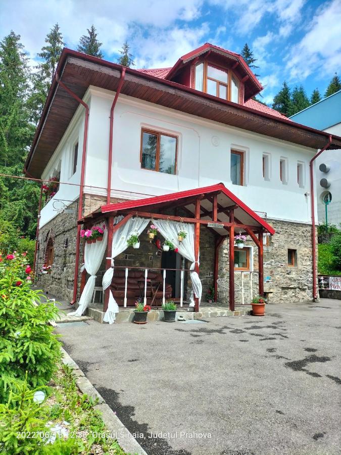 Appartement Casa Olguta à Sinaia Extérieur photo