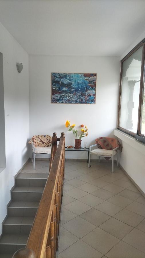 Appartement Casa Olguta à Sinaia Extérieur photo