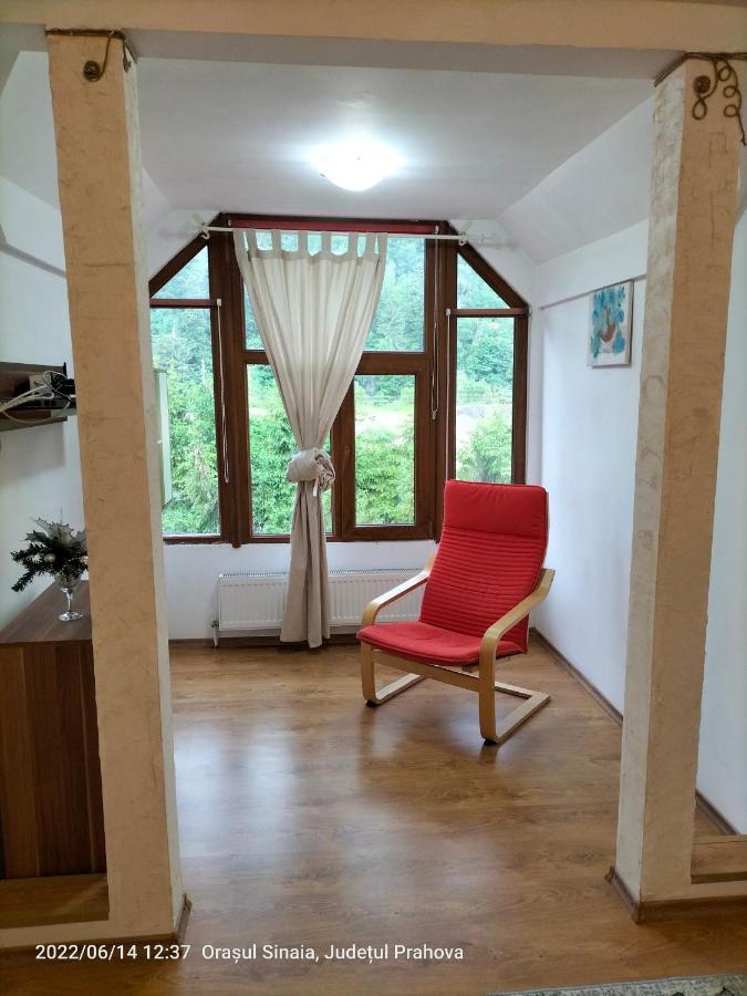 Appartement Casa Olguta à Sinaia Extérieur photo