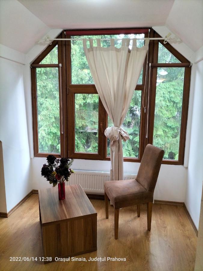 Appartement Casa Olguta à Sinaia Extérieur photo