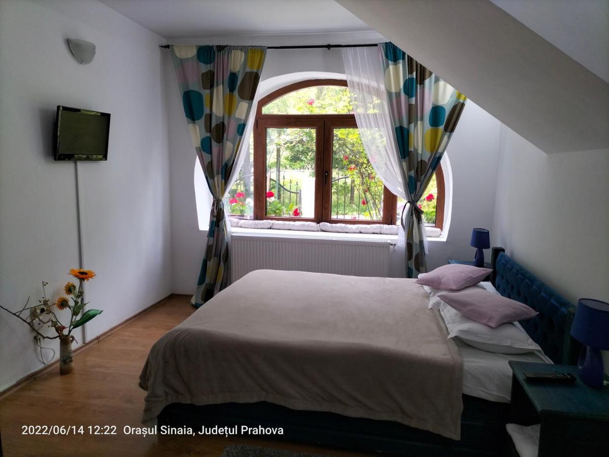 Appartement Casa Olguta à Sinaia Extérieur photo