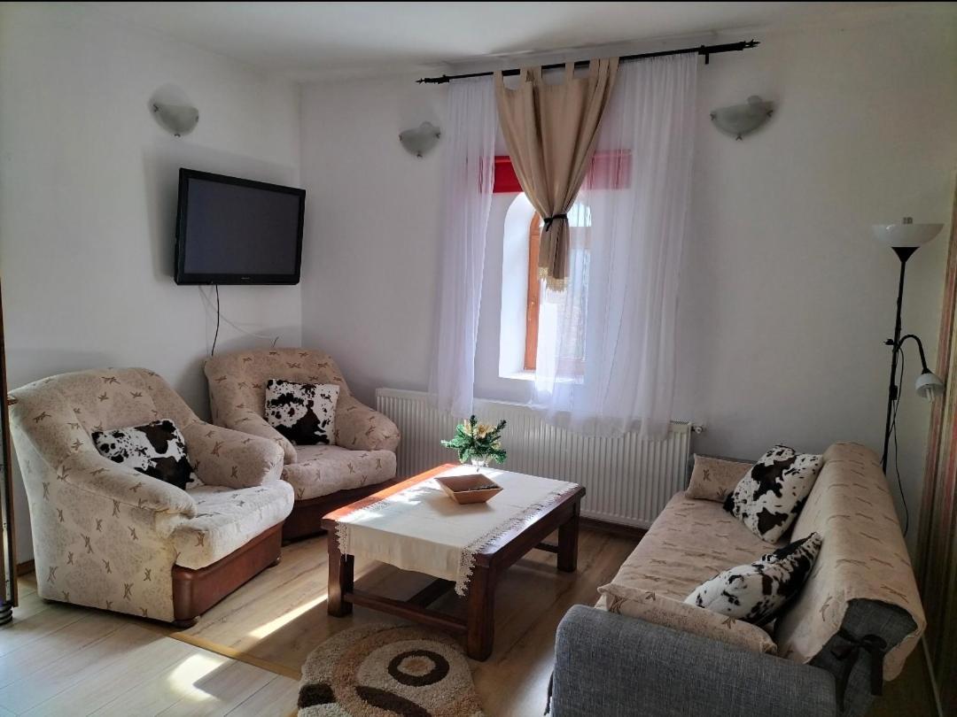 Appartement Casa Olguta à Sinaia Extérieur photo