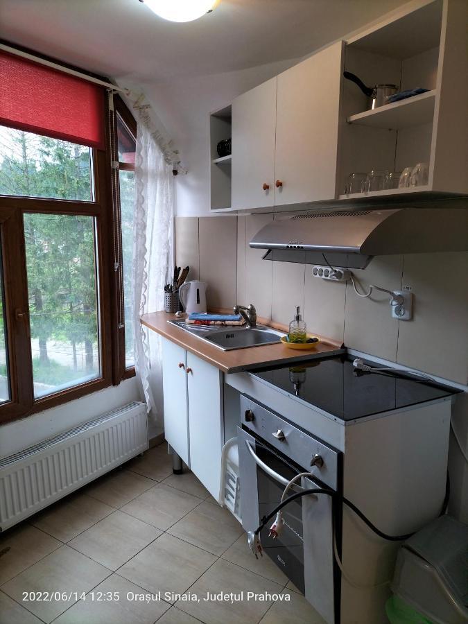 Appartement Casa Olguta à Sinaia Extérieur photo
