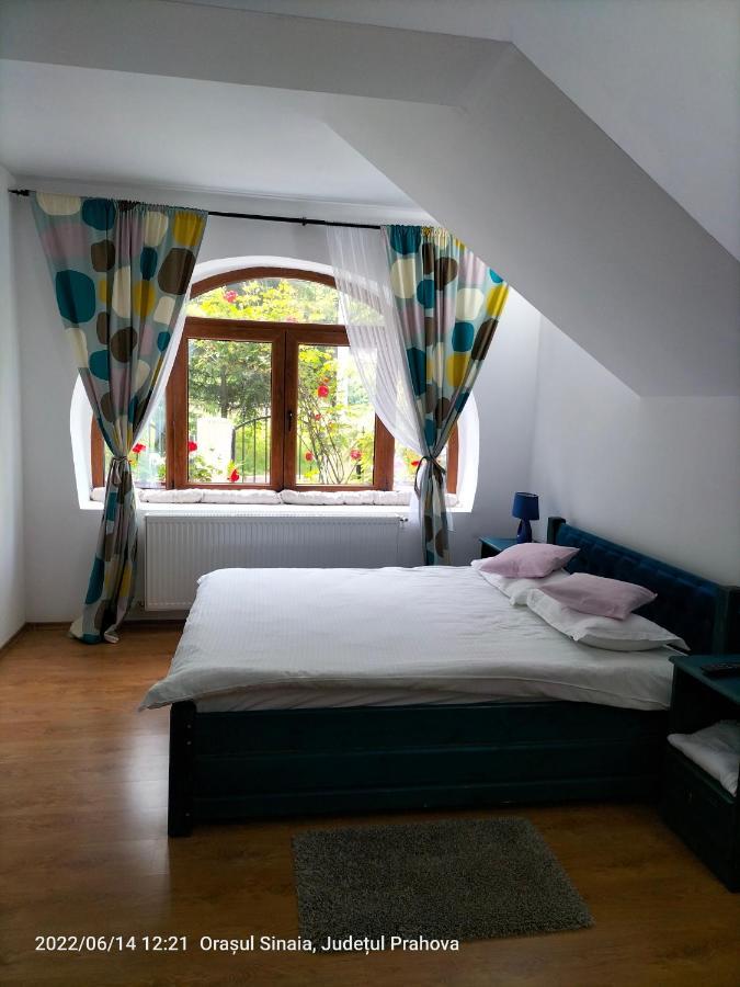 Appartement Casa Olguta à Sinaia Extérieur photo