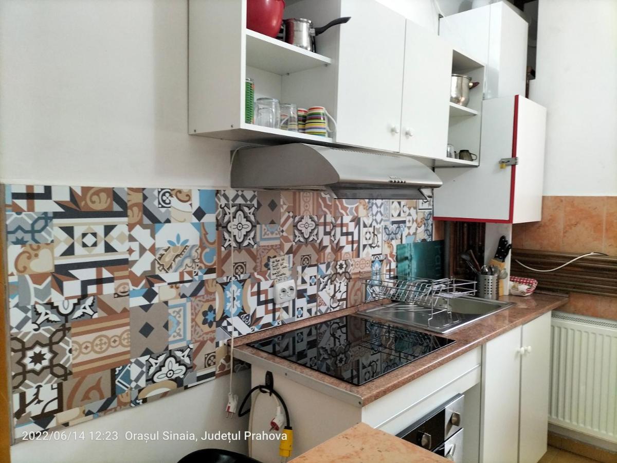 Appartement Casa Olguta à Sinaia Extérieur photo