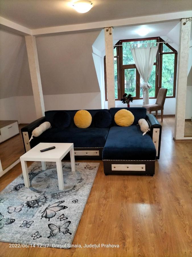 Appartement Casa Olguta à Sinaia Extérieur photo