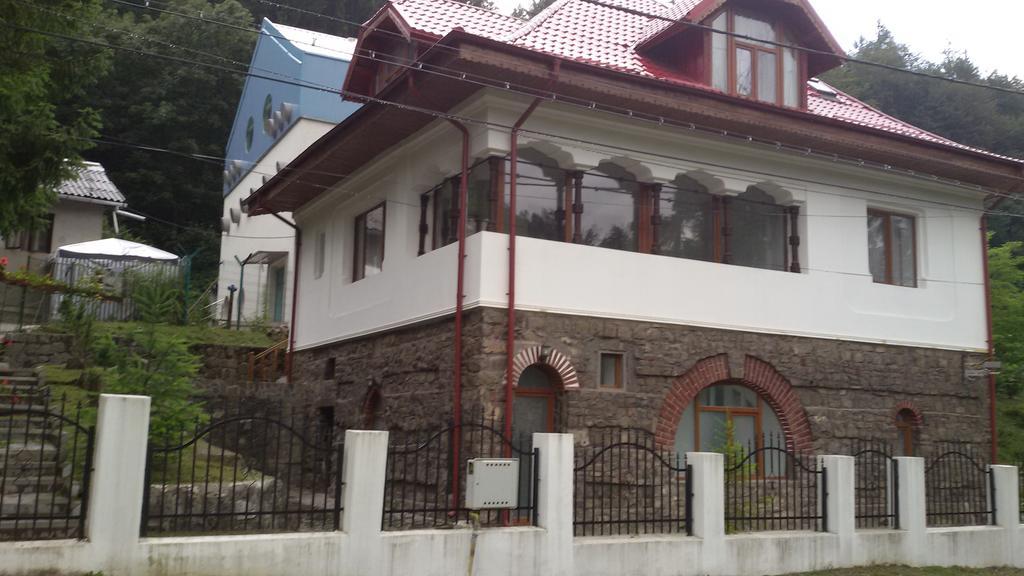 Appartement Casa Olguta à Sinaia Extérieur photo