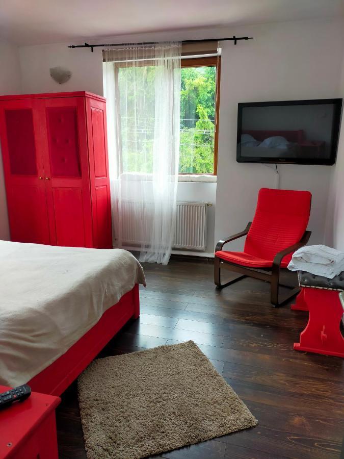Appartement Casa Olguta à Sinaia Extérieur photo