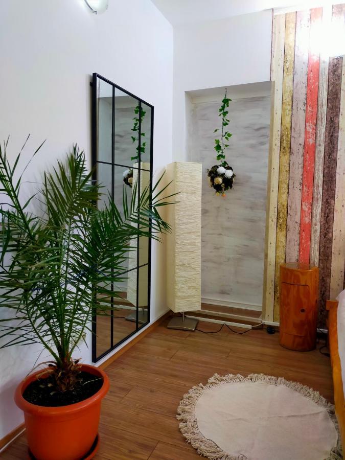 Appartement Casa Olguta à Sinaia Extérieur photo