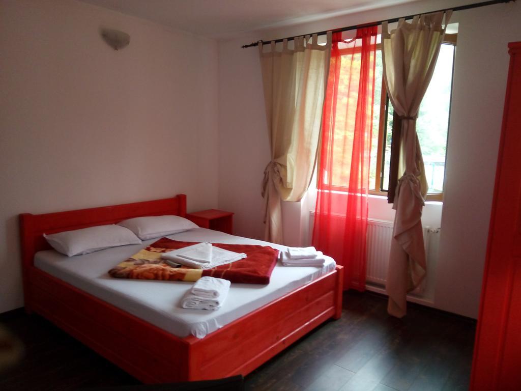 Appartement Casa Olguta à Sinaia Extérieur photo
