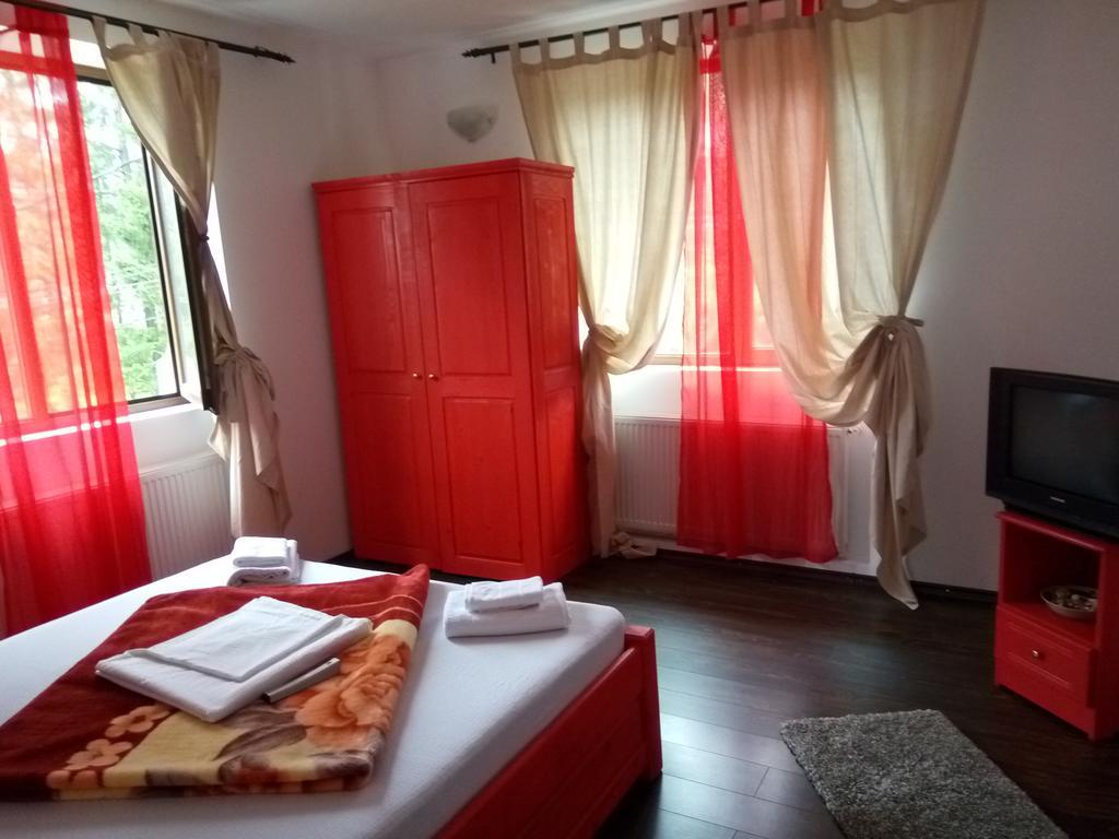Appartement Casa Olguta à Sinaia Extérieur photo