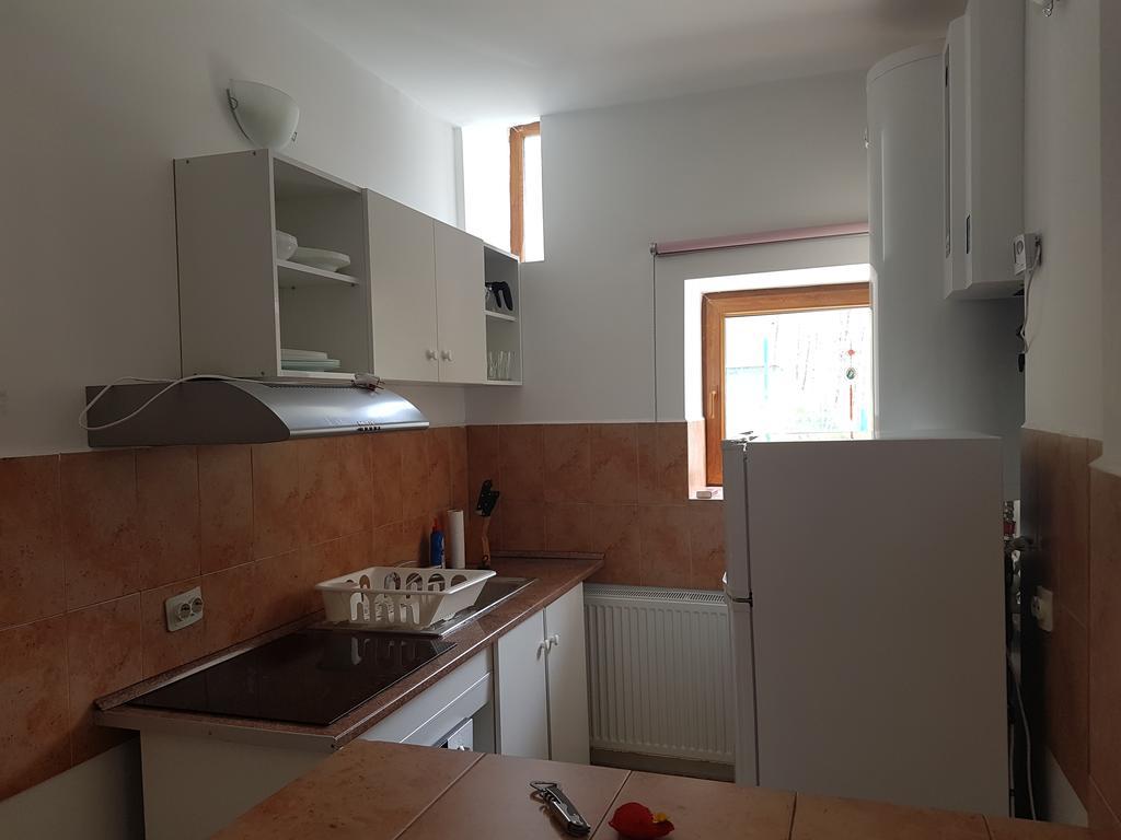 Appartement Casa Olguta à Sinaia Extérieur photo