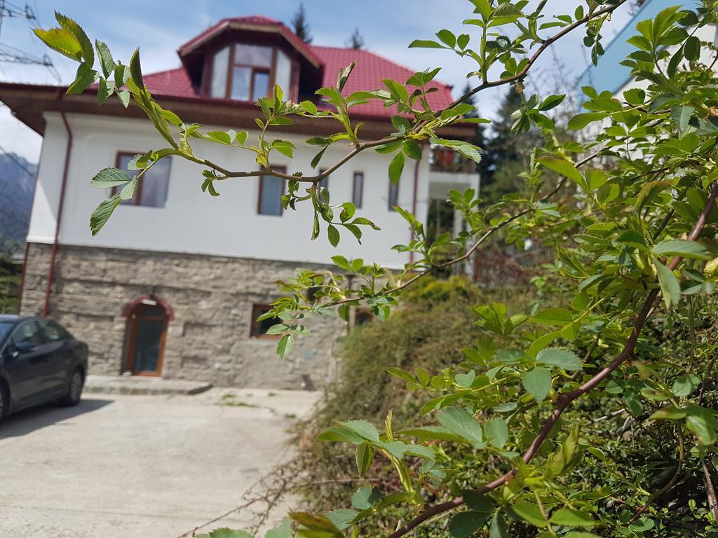 Appartement Casa Olguta à Sinaia Extérieur photo