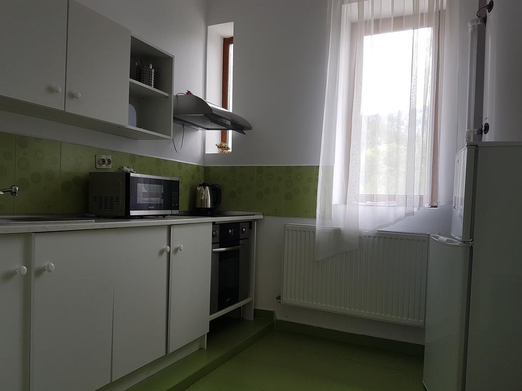Appartement Casa Olguta à Sinaia Extérieur photo