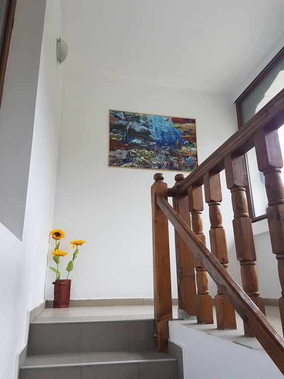 Appartement Casa Olguta à Sinaia Extérieur photo