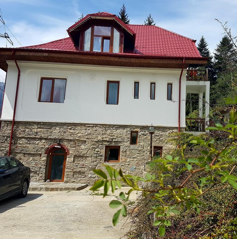 Appartement Casa Olguta à Sinaia Extérieur photo